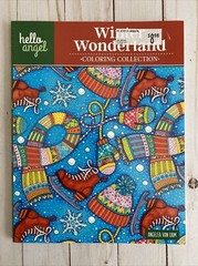 Adult Coloring Books Christmas Winter Wonderland + Stained Glass Teen Activity 2