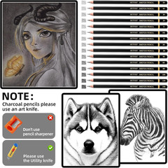 Drawing Sketching Pencil Set 21 Pack Art Pencil Kit with Graphite Pencils (14B-5
