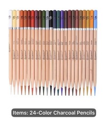 24 Giorgione Colored Charcoal Pencils NEW Shipping Included