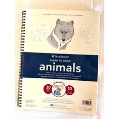 NWOT Artists Learn How to Draw Animals Spiral Book