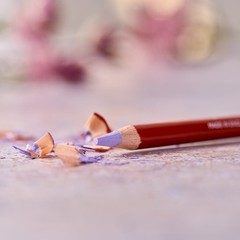 Derwent Professional Drawing Pencils – 24 Tinted Soft Colours in Natural Shades