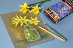 Pastel Pencils,Colored Charcoal Pencils Drawing Set, Skin Tone Colored Pencils,C