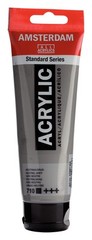 Amsterdam Standard Series Neutral Grey Acrylic Paint 4.05 Fl Oz Long Lasting