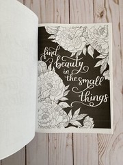 Inspirational Quotes Adult Coloring Book Teen Activity Too Gift Idea Calm Relax