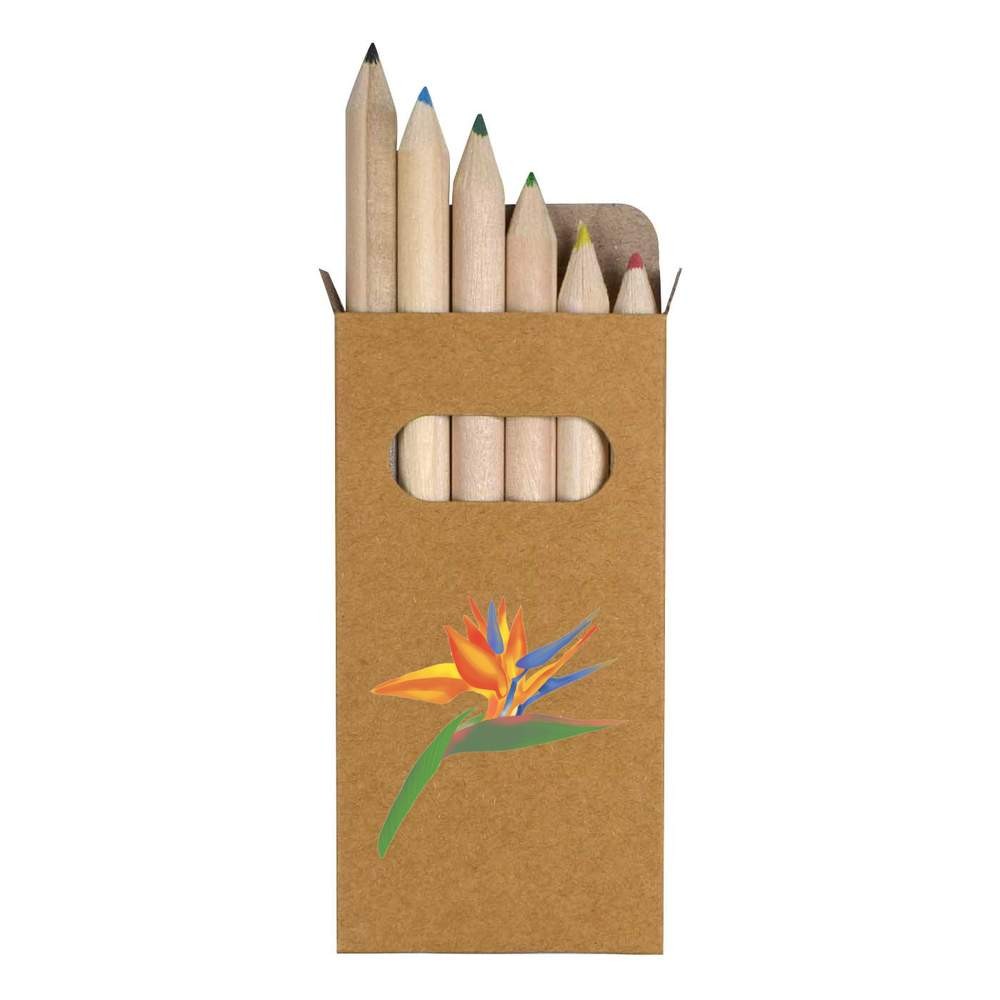 6 x ‘Bird Of Paradise Tropical Flower’ Short Colour Pencils (PE00071526)