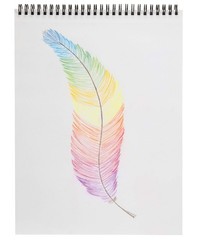 LYRA Waldorf Selection Giant Triangular Colored Pencil, Unlacquered, 6.25