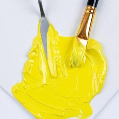 Acrylic Paint 12pk – 500ml Each, Fast-Drying, Semi-Matte, Artist Quality