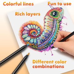 Art Supplies for Kids Teens Adults, 12 Rainbow Pencils Drawing Supplies, Jumbo M