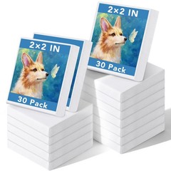 Prudiut 30 Pack Mini Painting Canvas, 2x2inch Small Mini, White