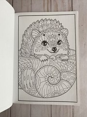 Adult Or Teen Coloring Book Adorable Animals 16 Single Sided Designs + Stickers