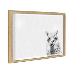 Blake Alpaca Portrait Horizontal Framed Printed Glass Wall Art and Dry Erase