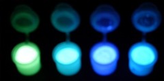 Glow in the Dark pigment powder 4 Color Set Invisible 10g