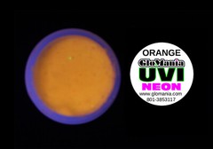 Neutral UV Neon Black Light Paint NOW 7 Colors inc.PINK plus
