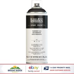 12-oz Professional Spray Paint, Transparent Black for Masonry and Wood Surfaces