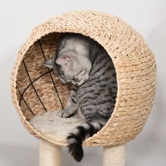 39-Inch Modern Beige Cat Furniture: Condo, Scratch Post & Hanging Rope