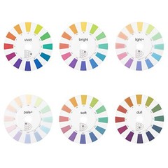 Japanese PCCS Color Tone Circle 11 Transparent Discs 132 Colors with Pouch Japan