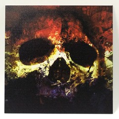 Infused Kydex RWB Skull Print 7.5″ X 7.5″ Sheet FREE SHIPPING