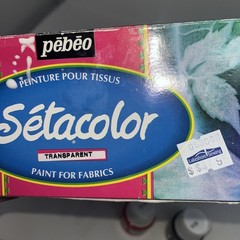 Pebeo PE075000 Discovery Paint Set 45ml 10/Pkg-Setacolor Transparent