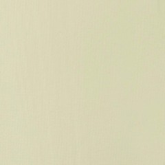 Liquitex BASICS Acrylic Paint, 118ml (4-oz) 4 Fl Oz (Pack of 1), Parchment