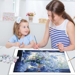 Blue Flowers in Window Paint by Numbers Kit for Adults, Landscape Adult Paint…