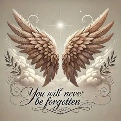 Angel Wings Paint by Numbers Kit for Adults,Unframed Oil Painting by Number Ki