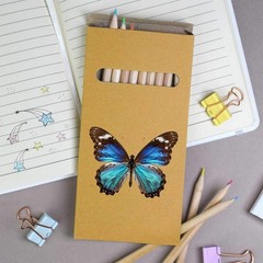12 x ‘Realistic Butterfly’ Long 178mm Coloured Pencils / Pencil Set (PE00088119)