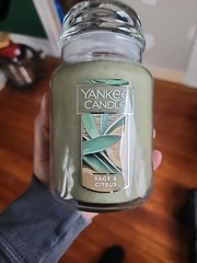 Yankee Candle Sage & Citrus Scented, Classic 22oz Large Jar, Ivory