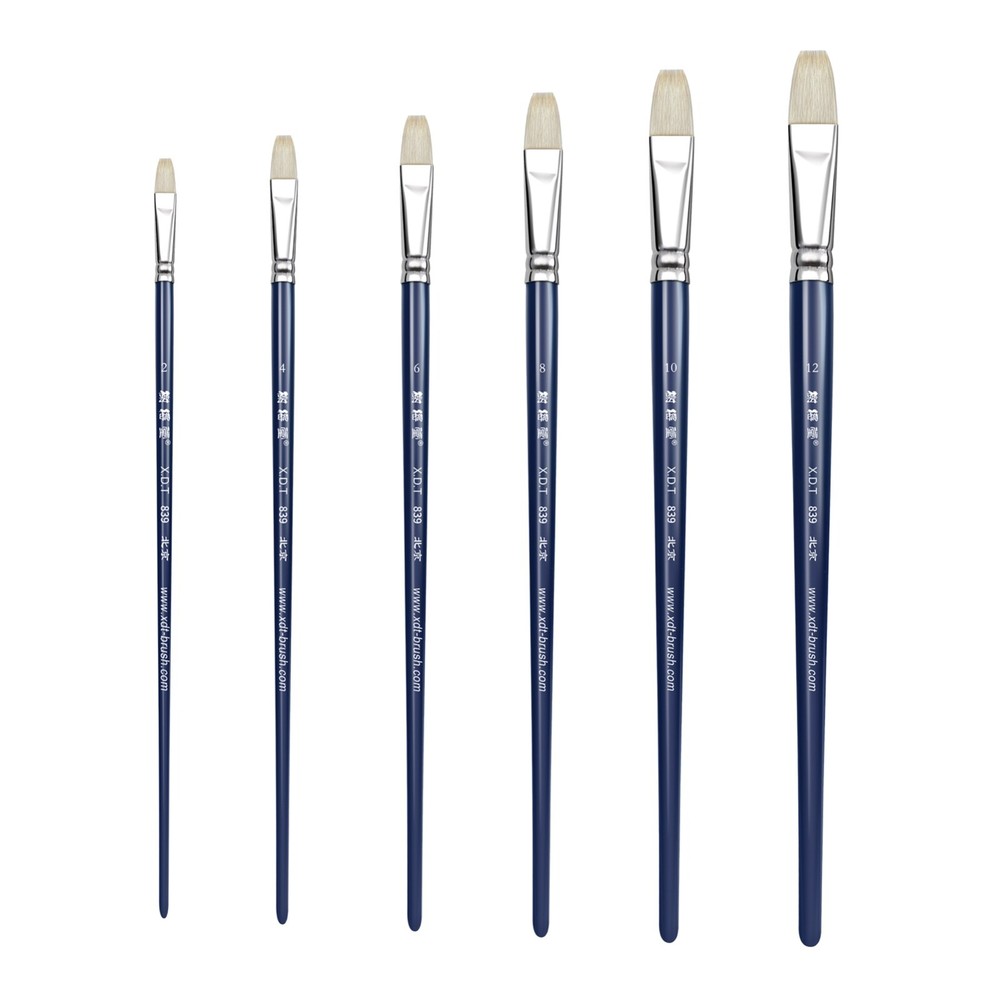XDT#839 Bright Art Brush Set 6Pc Premium Goat #2#4#6#8#10#12 Oil Watercolor