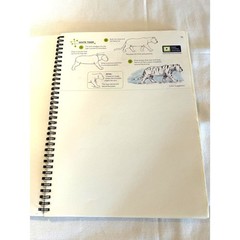 NWOT Artists Learn How to Draw Animals Spiral Book