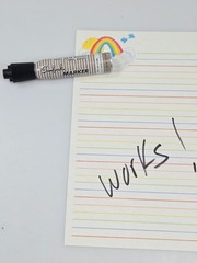Sanford Black Permanent Marker Stinks Deluxe