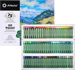 Oil Pastels Set of 75 PCS (8 X 60 Mm), Soft Oil Pastels for Art Painting, Dra…