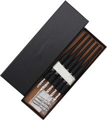 Plastic Professional Manga Gothic Pen Dip Pen Set with 5 Nibs Manga Calligraphy