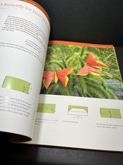 Origami Butterflies by Michael LaFosse – Ppaer Art Instruction How-To Book & DVD