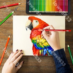 120 Color Premium Art Drawing Pencils for Adults Coloring Books Soft Core NEW