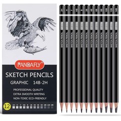 Professional Drawing Sketching Pencil Set – 12 Pieces Graphite Pencils(14B – …