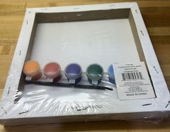 Tiny canvas paint and brush kit, Born to Shine, Sealed, NEW