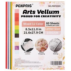 60 Sheets 21.6×27.9 cm/8.5×11.0 in [Letter Size], 12 Colors [60 Sheets]