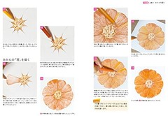 Colored Pencil Realistic Drawing Book