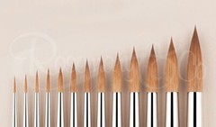 Rosemary & Co Series 8 Brush PURE KOLINSKY SABLE POINTED ROUND Full Range