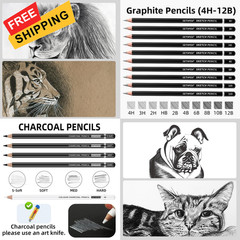 Drawing Sketching Pencil Set, 24 Piece Pro Artist Sketch Kit – Graphite Black