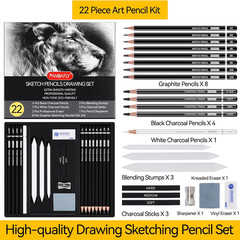 Professional 22-Piece Sketching Pencil Set with Graphite and Charcoal Tools