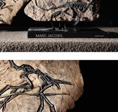 TOP! simulated Jurassic Cretaceous dinosaur skeletal fossil specimens 2.2LB