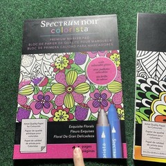Spectrum Noir Colorista Premium Marker Pad Lot used clean Florals 13 19 glitter