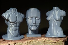 Planar Head, with Male & Female Torso — Art Reference Collection