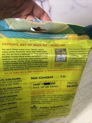 Fevicryl Art of India Gond Art Kit 12 Acrylic Colors Canvas Board 2 Brushes