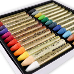 Water-Soluble Oil Pastels for Artists 24 Colors, Soft Watercolor Art Sticks, …