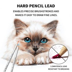 Oil-Based Colored Pencils, 36 Colors – Wooden Hexagonal Barrel, Iron . Ideal …