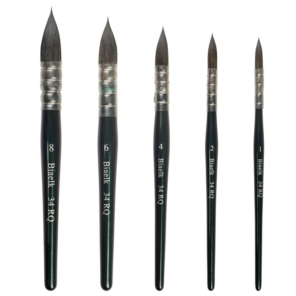 Professional Watercolor Paint Brushes,34RQ 5PCS Variety Mop Watercolor Quill …