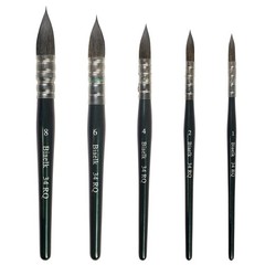 Professional Watercolor Paint Brushes,34RQ 5PCS Variety Mop Watercolor Quill …