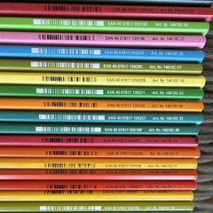 Lot Art Pencils Staedtler Ergosoft Colored Mars Lumograph Jumbo Faber Castell